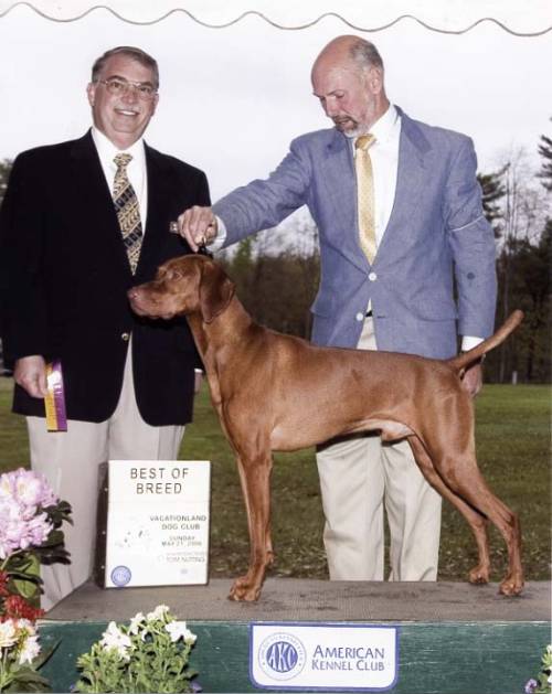 Bryce with Handler Dennis