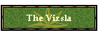 The Vizsla