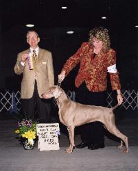 Lily Best of Breed